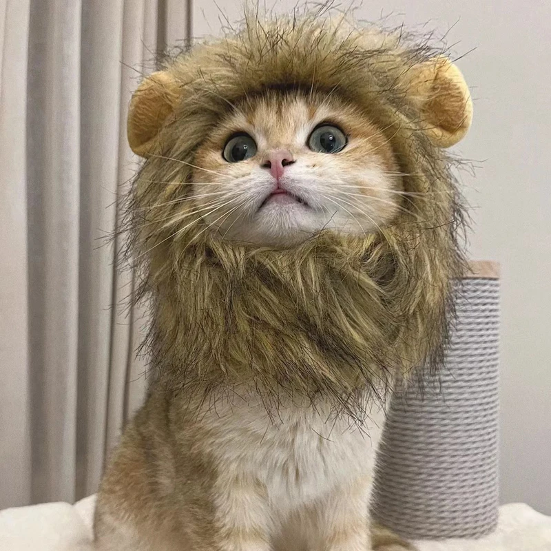 Ropa divertida para mascotas, gorro, peluca de gato, disfraz de crinera de León, sombrero de perro y gatito con orejas, suministros para fiesta elegante - imagen 2