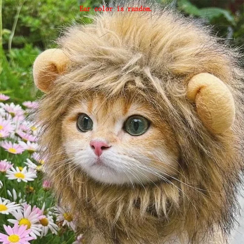 Cabeza de león para mascotas con pelaje rizado