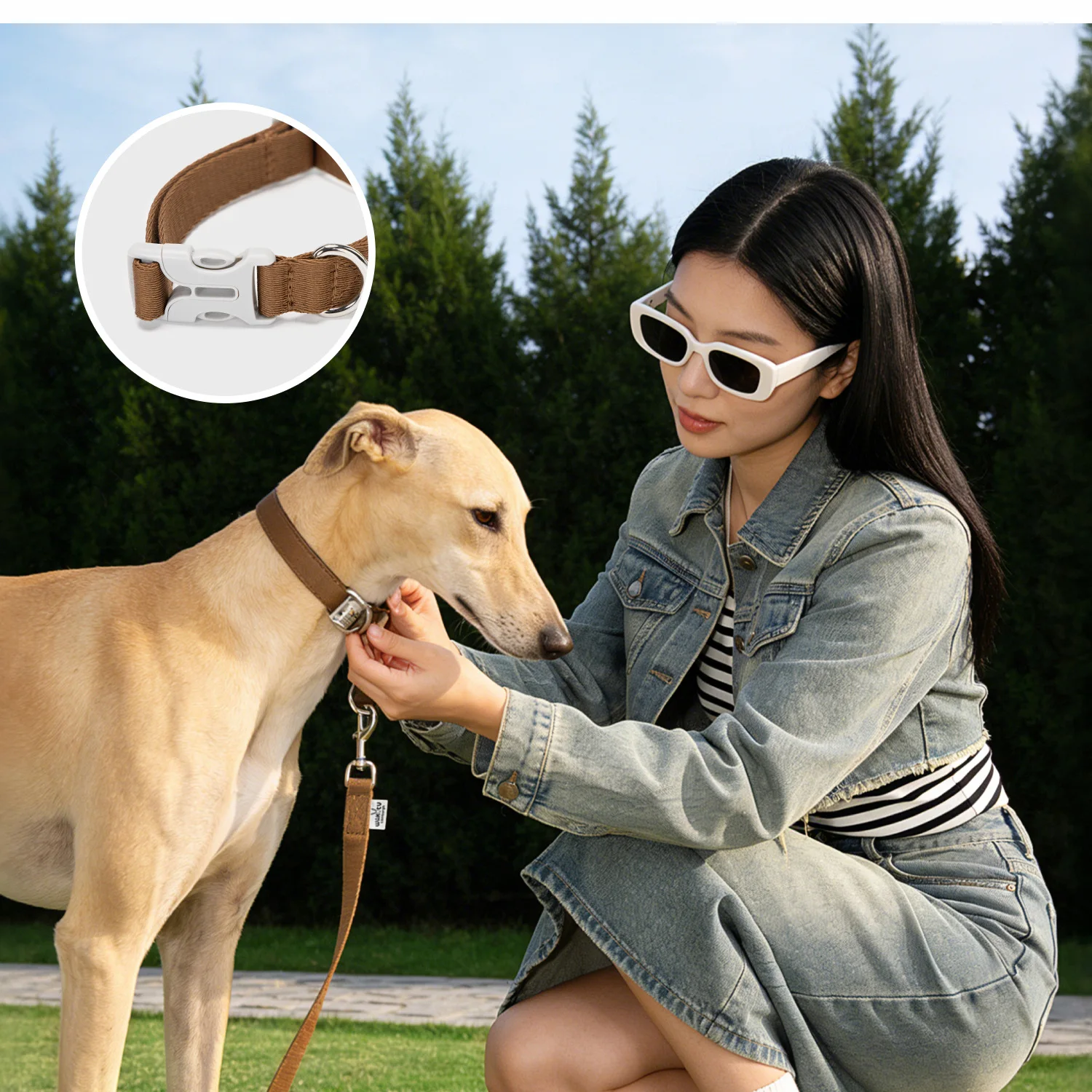 Conjunto collar y correa para perros - algodón con mango acolchado - imagen 2
