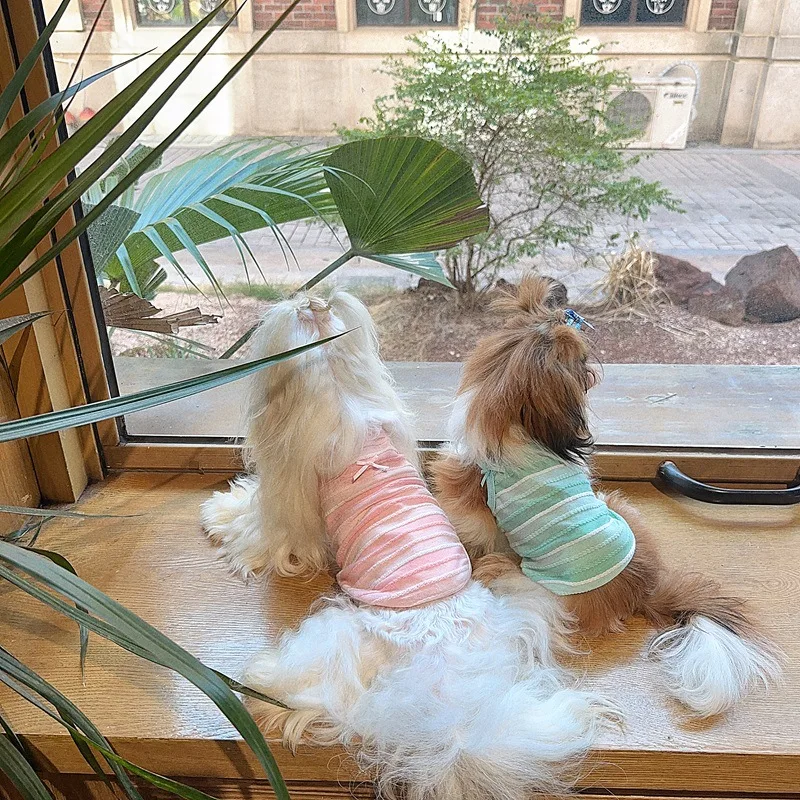 Camisola a rayas para mascotas, Top de color caramelo, transpirable para primavera, oso de peluche, bonito chaleco de malla para mascotas, ropa para cachorros - imagen 4