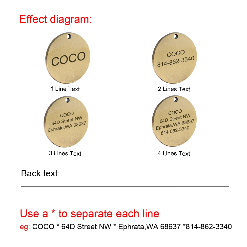 Stainless Steel Dog ID Tag Personalized Dogs Name Tags Custom Engraved Anti-lost Nameplate For Small Dogs Cats Pet Accessories - imagen 4