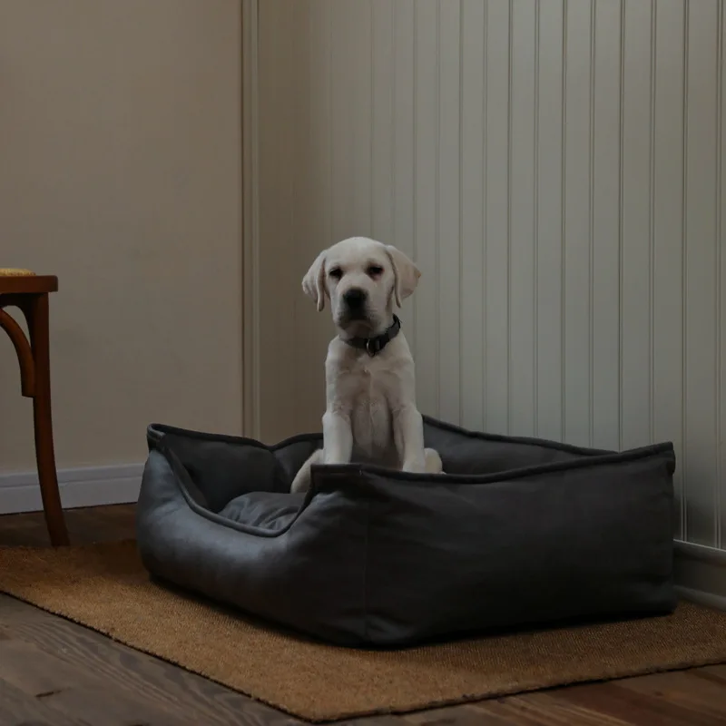 Cama sofá impermeable lavable con aspecto cuero para gatos y perros - imagen 2