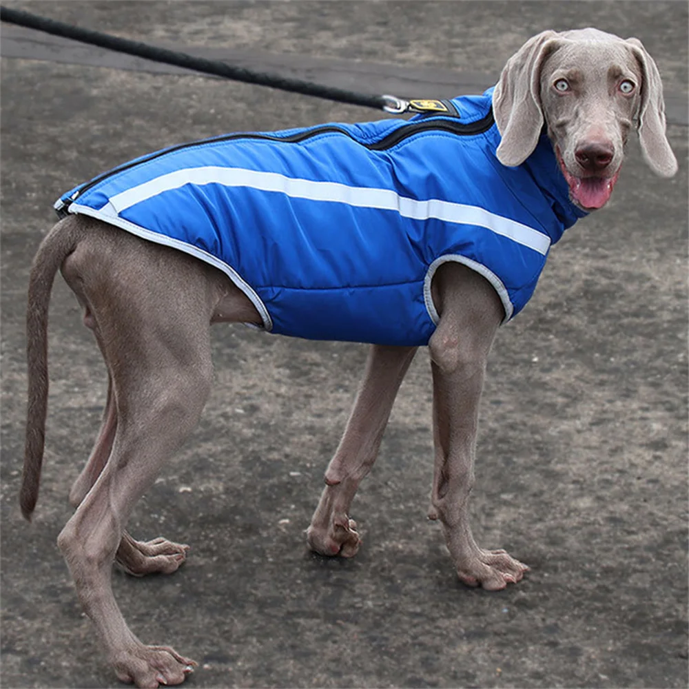 Abrigo de invierno perros grandes y medianos cuello alto–Basset Hound - imagen 3