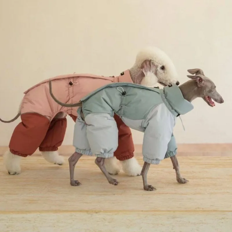 Abrigo invierno impermeable para perros pequeños y medianos