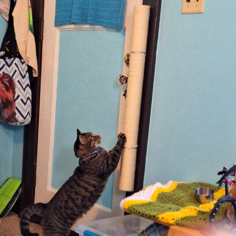 Poste rascador para gatos montado en la pared, cuerda de Sisal, poste de árbol para gatos para interiores, torre para gatos que ahorra espacio, Protector de muebles para gatos para gatitos