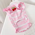 Pink Vest 1