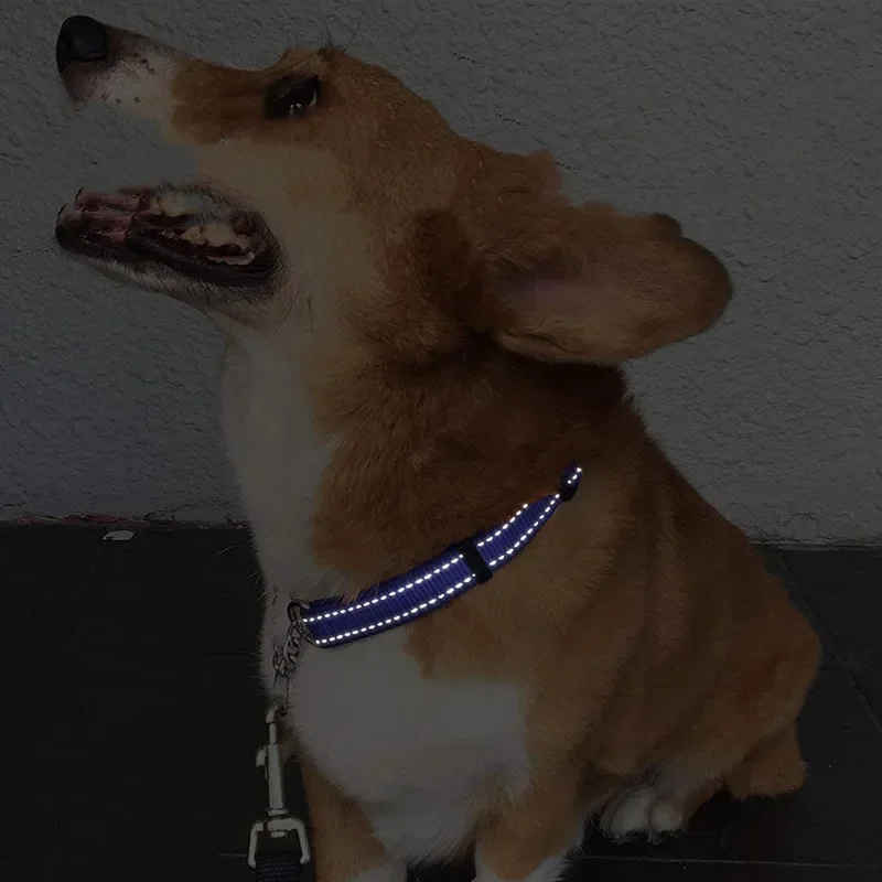 Collar reflectante para perros, collares ajustables para mascotas, resistentes al desgaste, gruesos, cadena para caminar, accesorios para mascotas - imagen 3