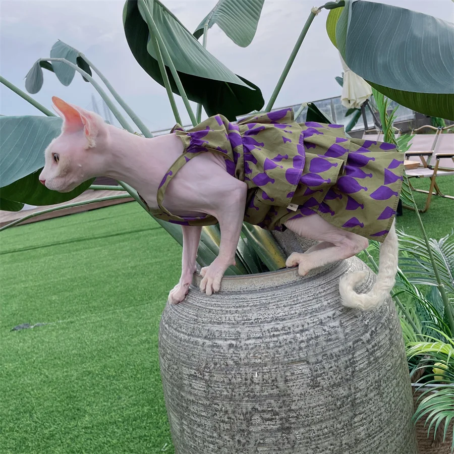 Vestido de encaje morado para gatos Sphynx – Algodón primavera - imagen 3