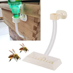 Alimentador de colmena para Abejas – Comedero plástico para miel y azúcar