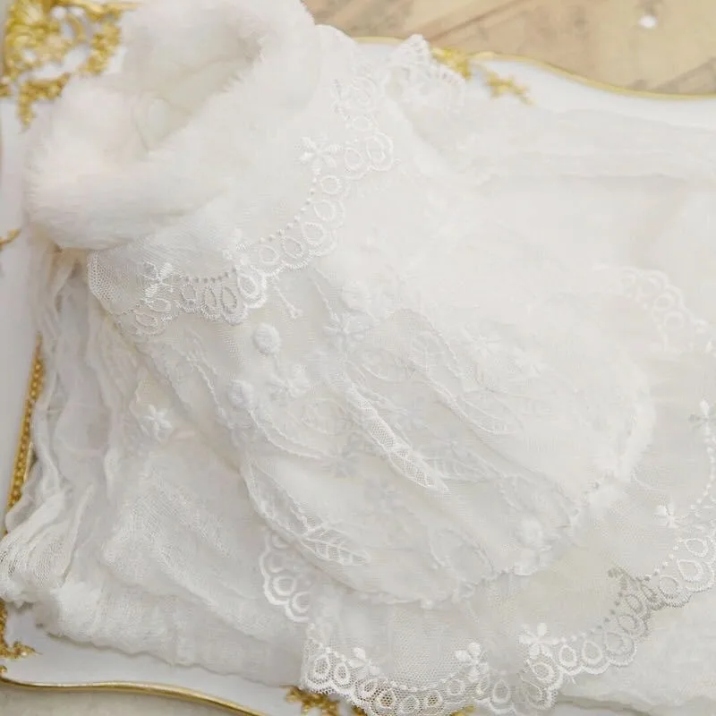 Vestido de encaje con mangas voladoras para mascotas, Top para gatos, vestido de princesa de encaje para primavera y verano, vestidos para perros pequeños, ropa para cachorros