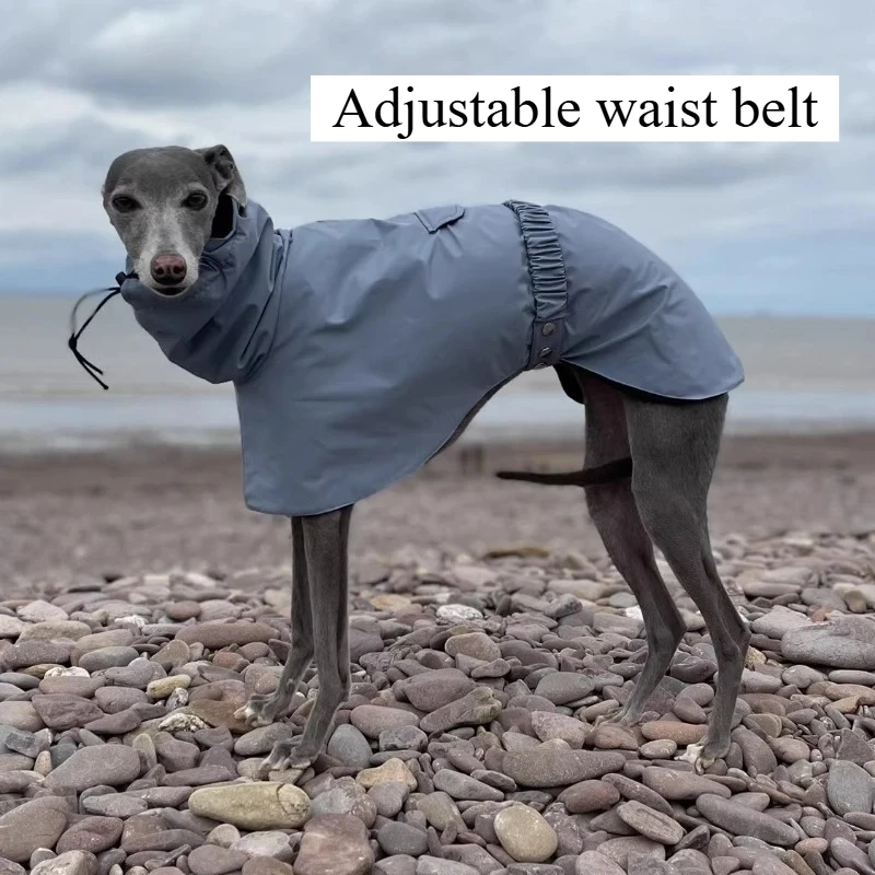 Chubasquero impermeable para perros de gran tamaño, impermeable de lujo para perros Whippet Greyhound, chaqueta, impermeable Doberman Pinscher para caminar al aire libre - imagen 4