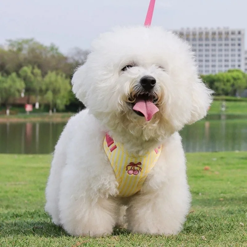 Arnés suave para perro con cerezas y chaleco ajustable para gato - imagen 3