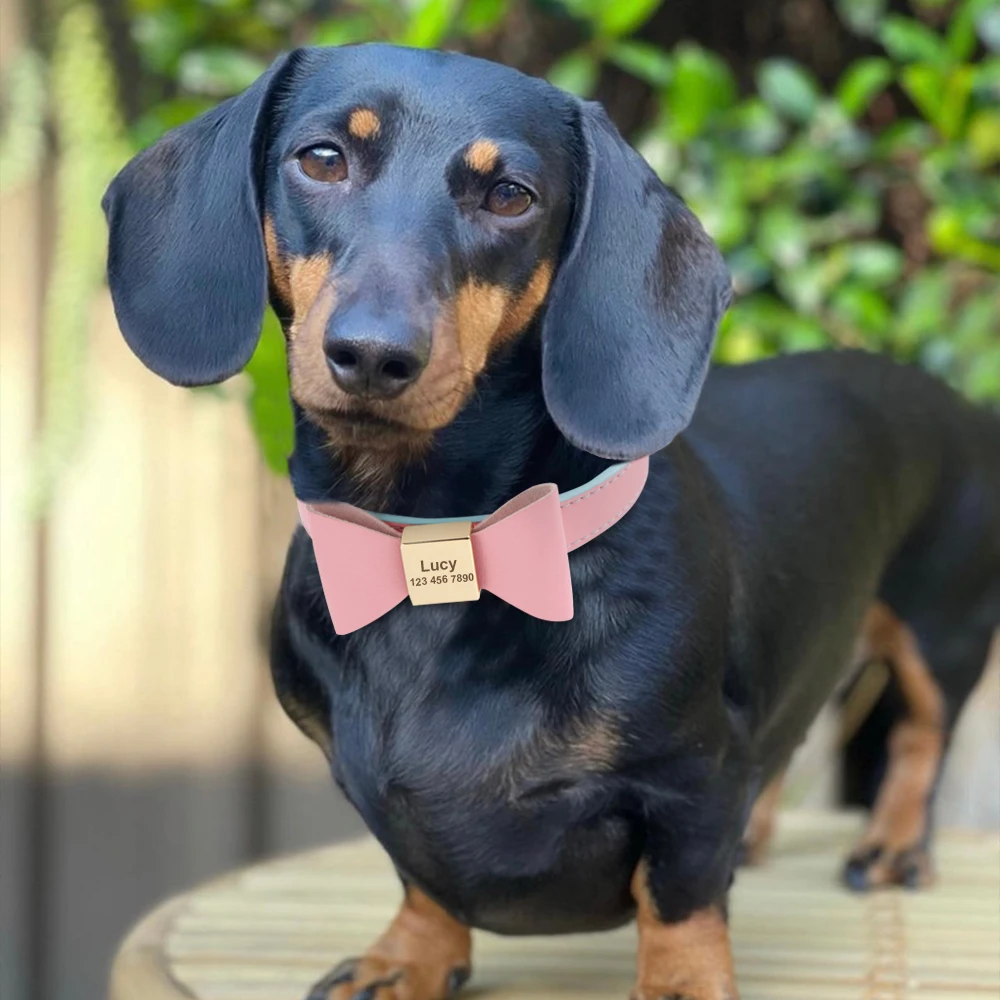 ส่วนบุคคลหนังที่กำหนดเองสุนัขแมวปลอกคอ Bowknot ปรับสร้อยคอสัตว์เลี้ยงสำหรับสุนัขขนาดกลางขนาดเล็กแมว - imagen 5