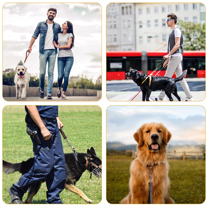 Cuero genuino de la correa para perros