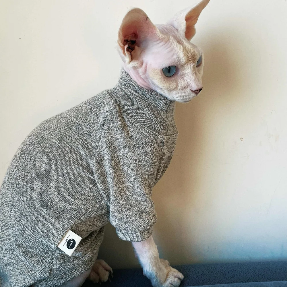 Suéter aislado de cuello alto de punto elástico para gato Sphynx en invierno abrigo gris oscuro suave y cálido para gato sin pelo Devon Rex en otoño - imagen 4