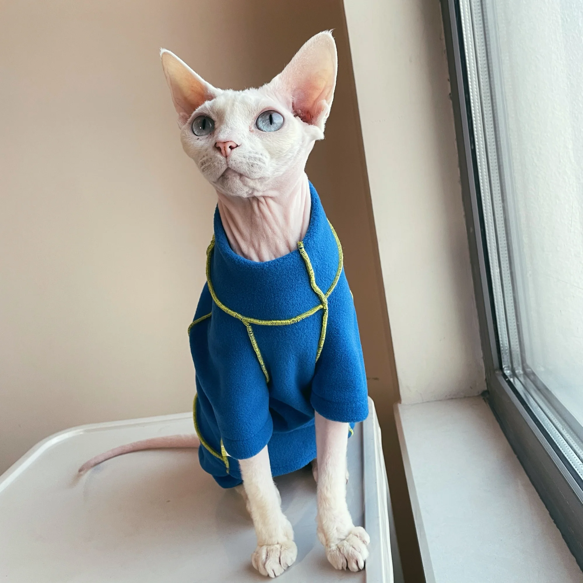 Mono de lana azul a la moda para gato esfinge, sudadera cálida de invierno para gato sin pelo, pijamas ligeros y suaves resistentes a las manchas para Devon - imagen 3