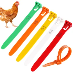 Anillo ajustable para patas de aves de corral – 8-28 mm