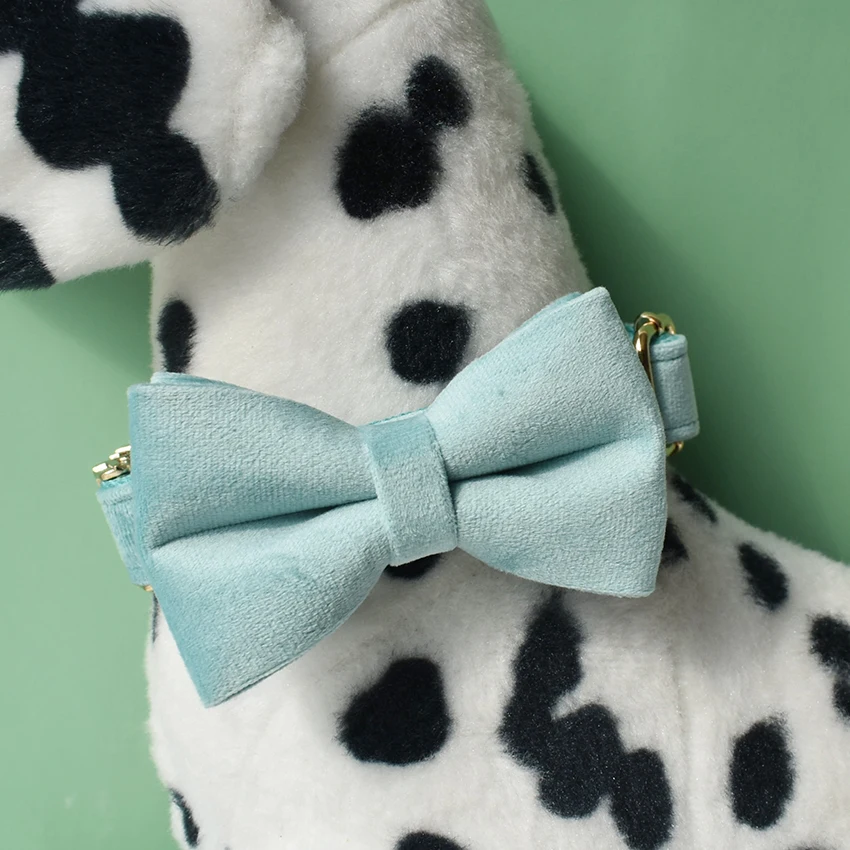 Flor personalizada Pitbull pastor alemán Cocker Spaniel americano Akitas mediano grande grabado nombre franela 29 - imagen 2