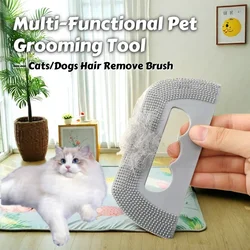 Kit de aseo para gatos y perros elimina pelo y pelusas y limpia telas