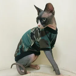 Devon Rex camiseta de algodón para gato con dibujos de esfinge