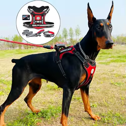 Doberman-arnés para perro, conjunto de correa para caminar, chaleco para mascotas, arneses para perros medianos y grandes, suministros de cadena para mascotas pastor alemán