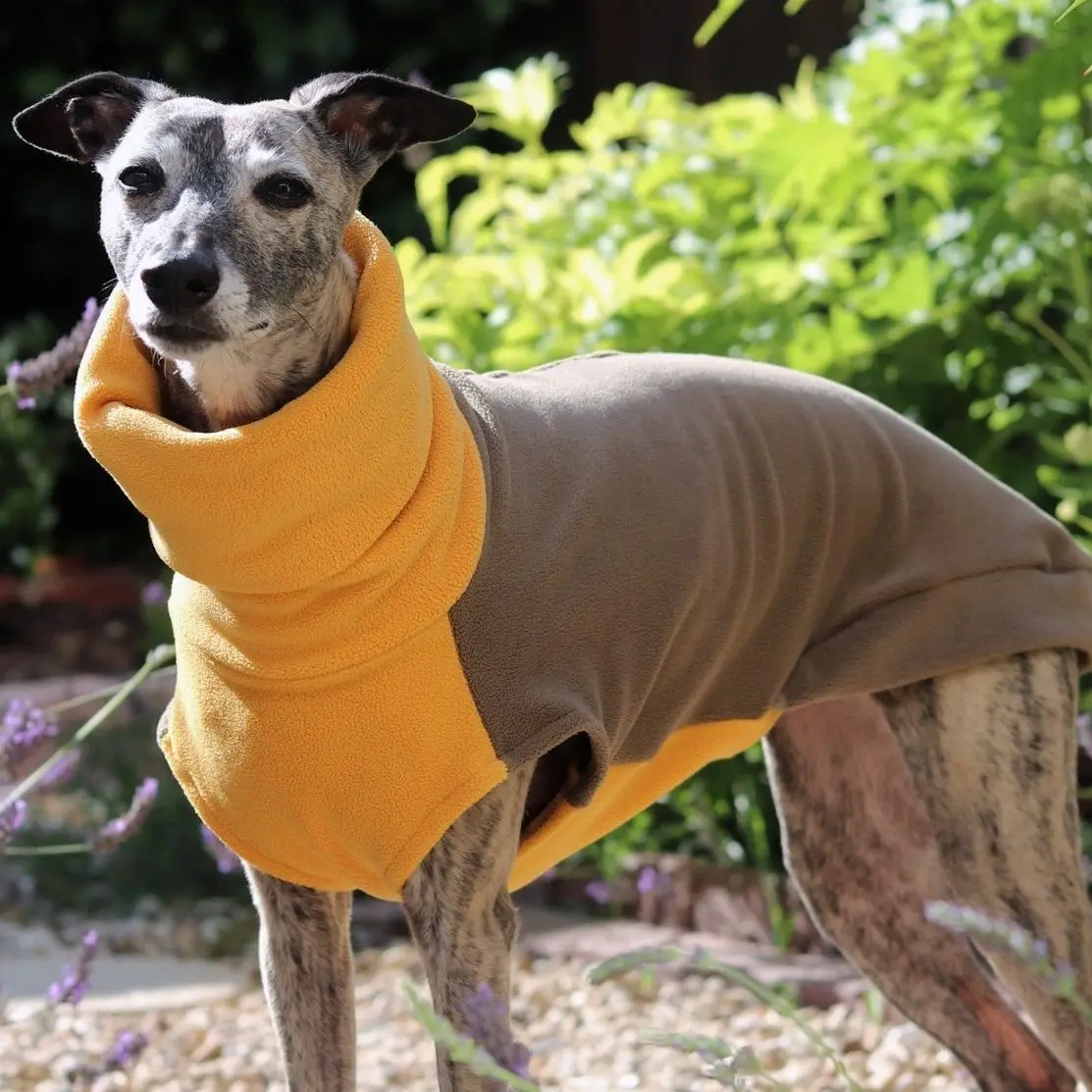 Jersey forro polar cuello alto para perros Galgo y Whippet - imagen 3