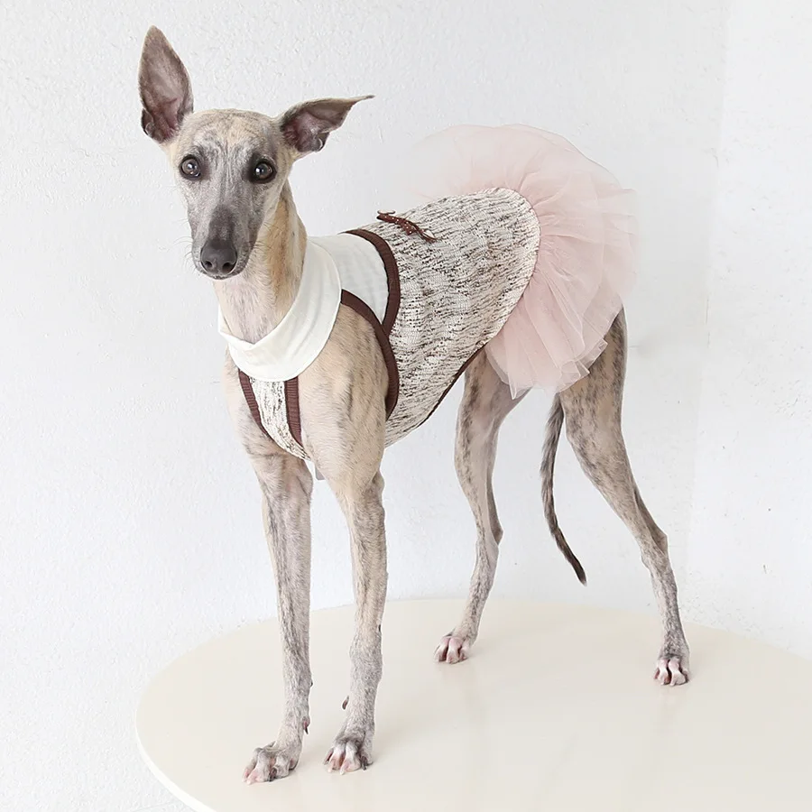 Falda tulle para galgo italiano, whippet y perros medianos y grandes - imagen 3