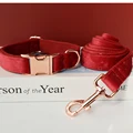 Collar Leash