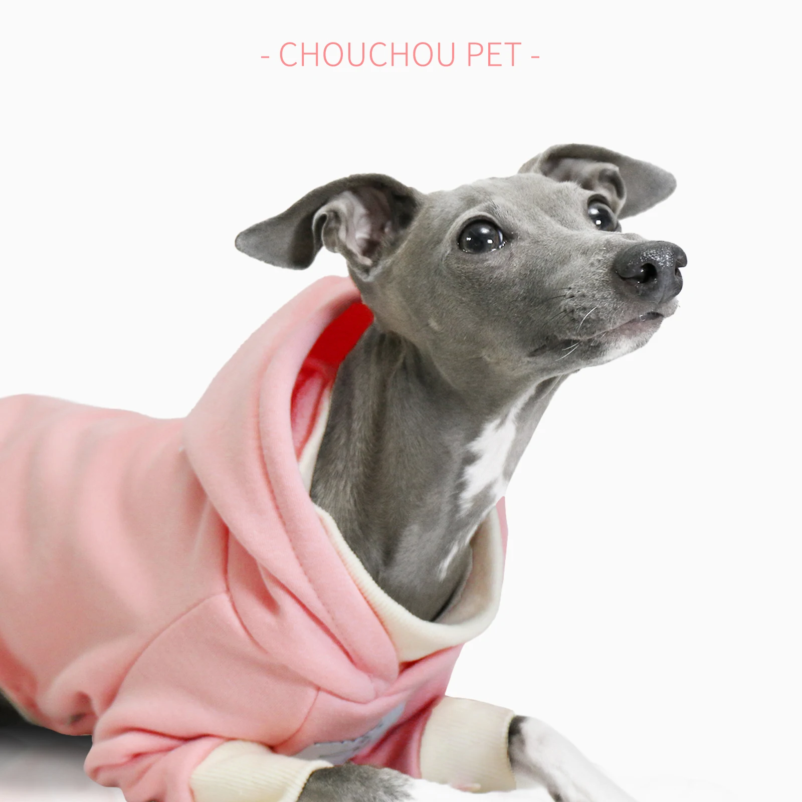 Rosa italiano galgo primavera nueva sudadera marrón con capucha más terciopelo cálido ropa deportiva para mascotas ropa para perros Whippet - imagen 4