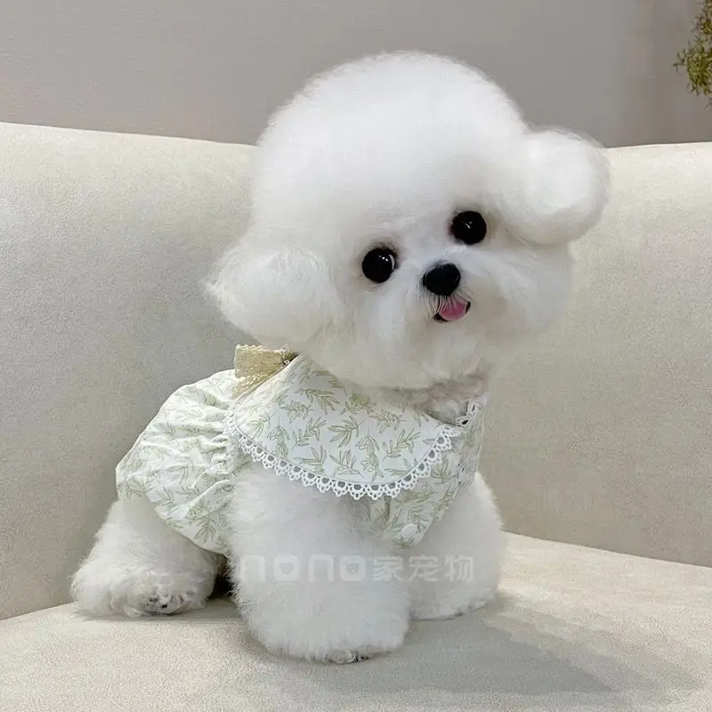 Vestidos de flores para perros, ropa para mascotas, ropa con estampado dulce, súper falda para perros pequeños, cachorros, Chihuahua fino lindo, Verano - imagen 2