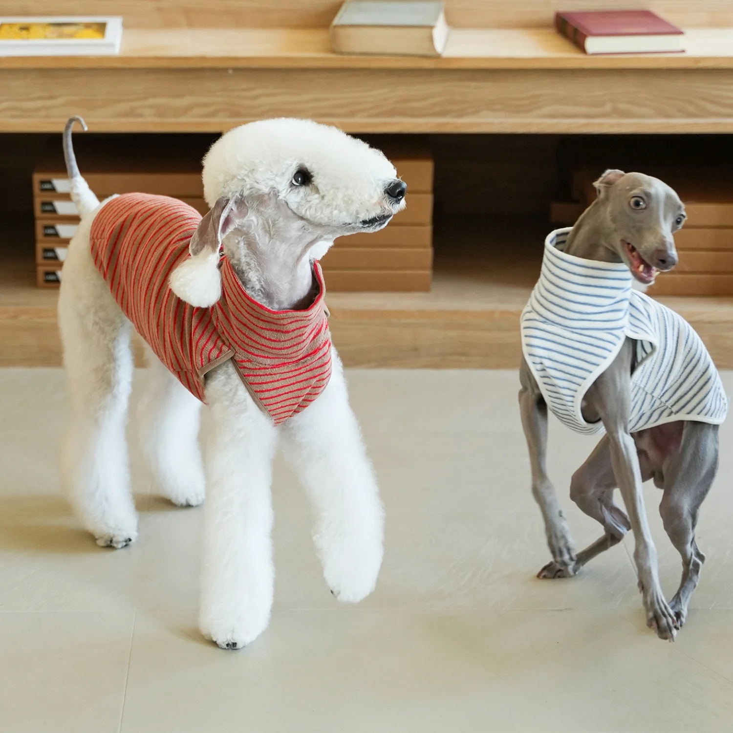 Camiseta de dos patas de terciopelo a rayas rojas para Bellington, chaleco gris suave sin mangas cálido, pijamas de lana para Whippet en otoño - imagen 3