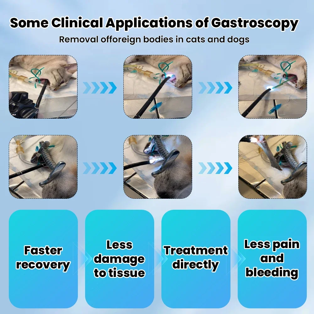 Cámara endoscópica veterinaria ENT de 2,8mm, endoscopia de urología Flexible multifunción para animales pequeños, mascotas, gatos, perros, PC, uso Android - imagen 4