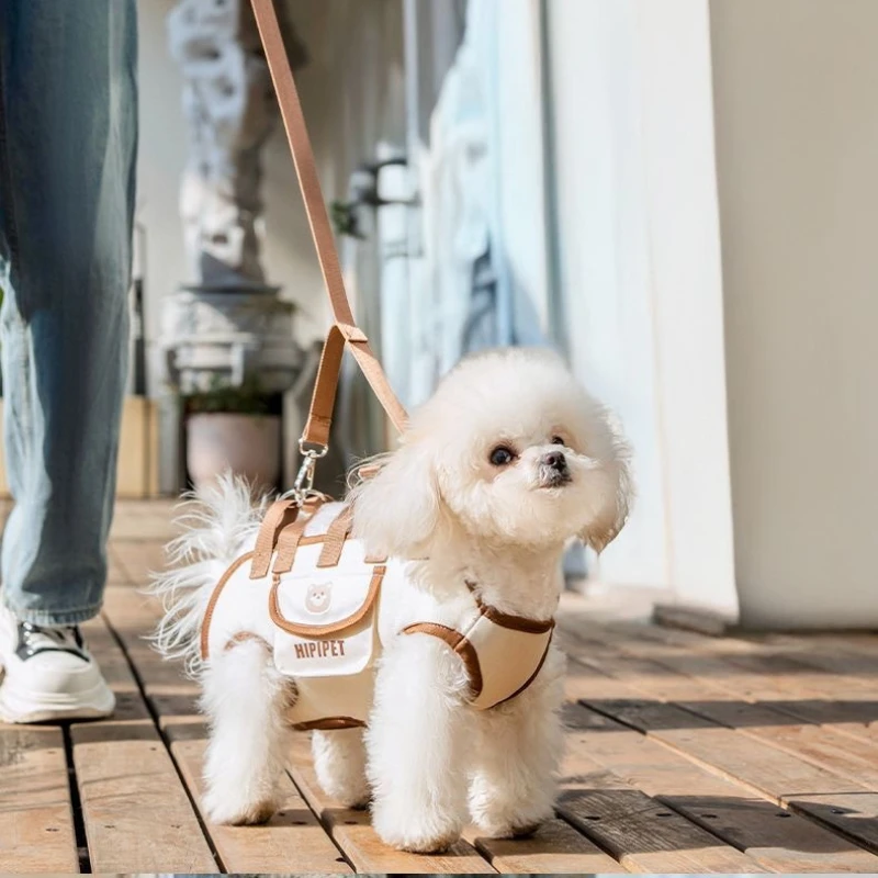 Bolsa portátil para perros de compañía, bolsa transportadora multiusos para exteriores con dibujos animados de viaje Diagonal para gatos, productos para mascotas, accesorios transpirables - imagen 3