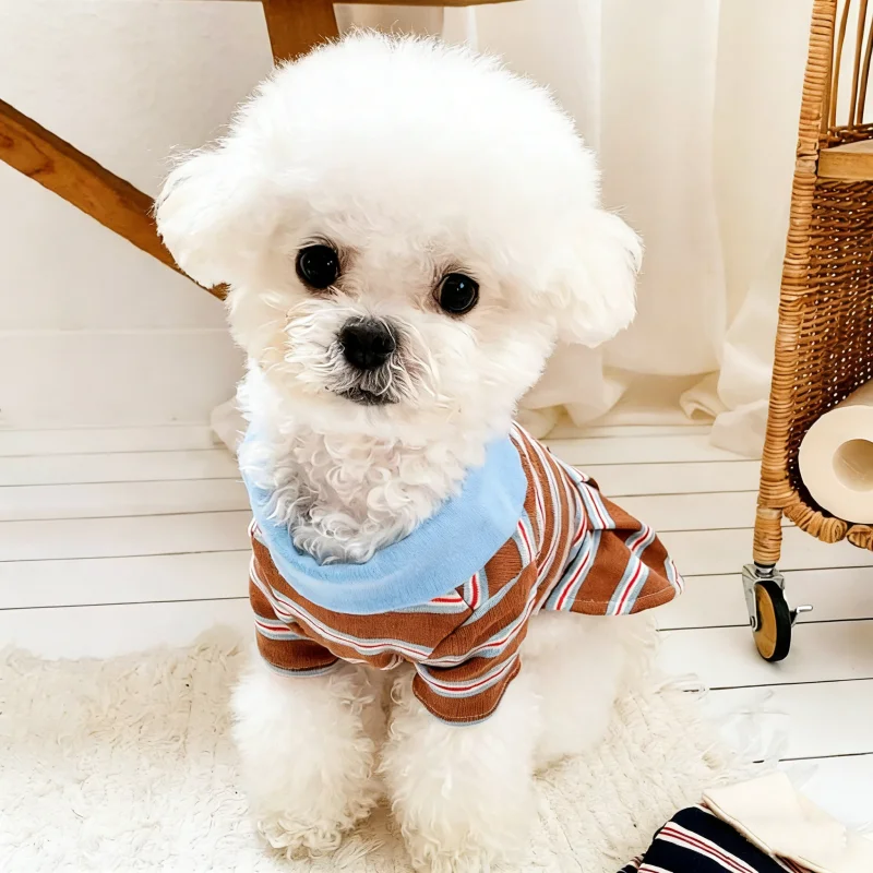 Vestido polo a rayas verano para perros – Ropa Bulldog Francés - imagen 4
