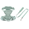 harness leash