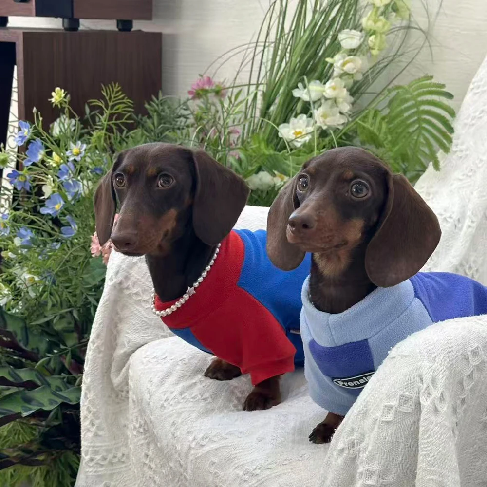 Pijamas para perros Dachshund cálidos y coloridos – ropa cómoda - imagen 3
