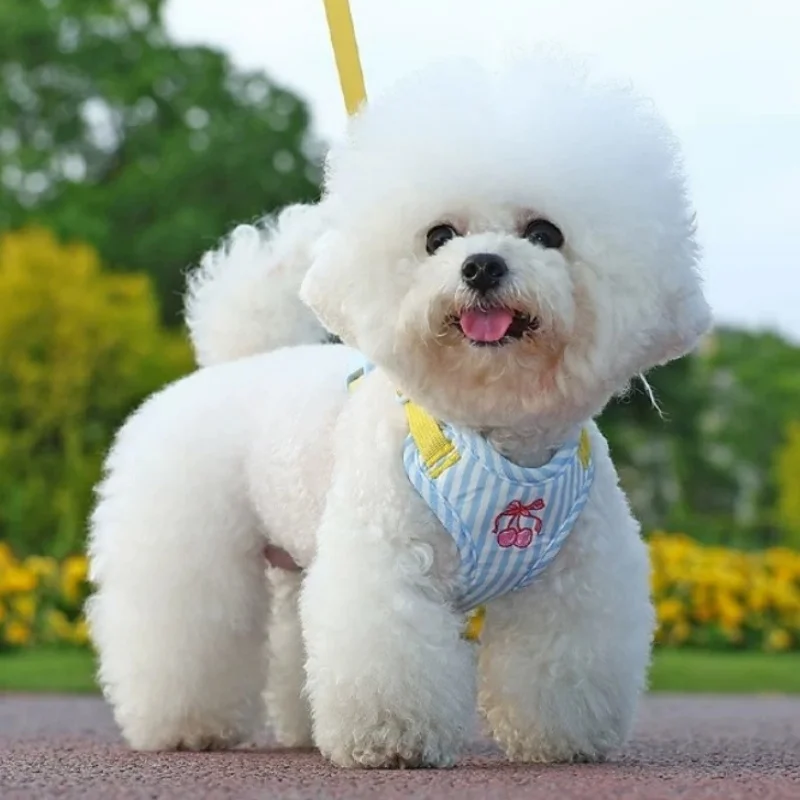 Arnés suave para perro con cerezas y chaleco ajustable para gato - imagen 2