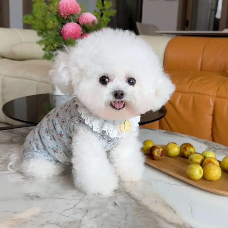 Pijamas de encaje con estampado de flores para perros y gatos, mono con vientre envuelto, ropa para perros pequeños, monos para cachorros y gatos Yorkshire Terrier - imagen 3