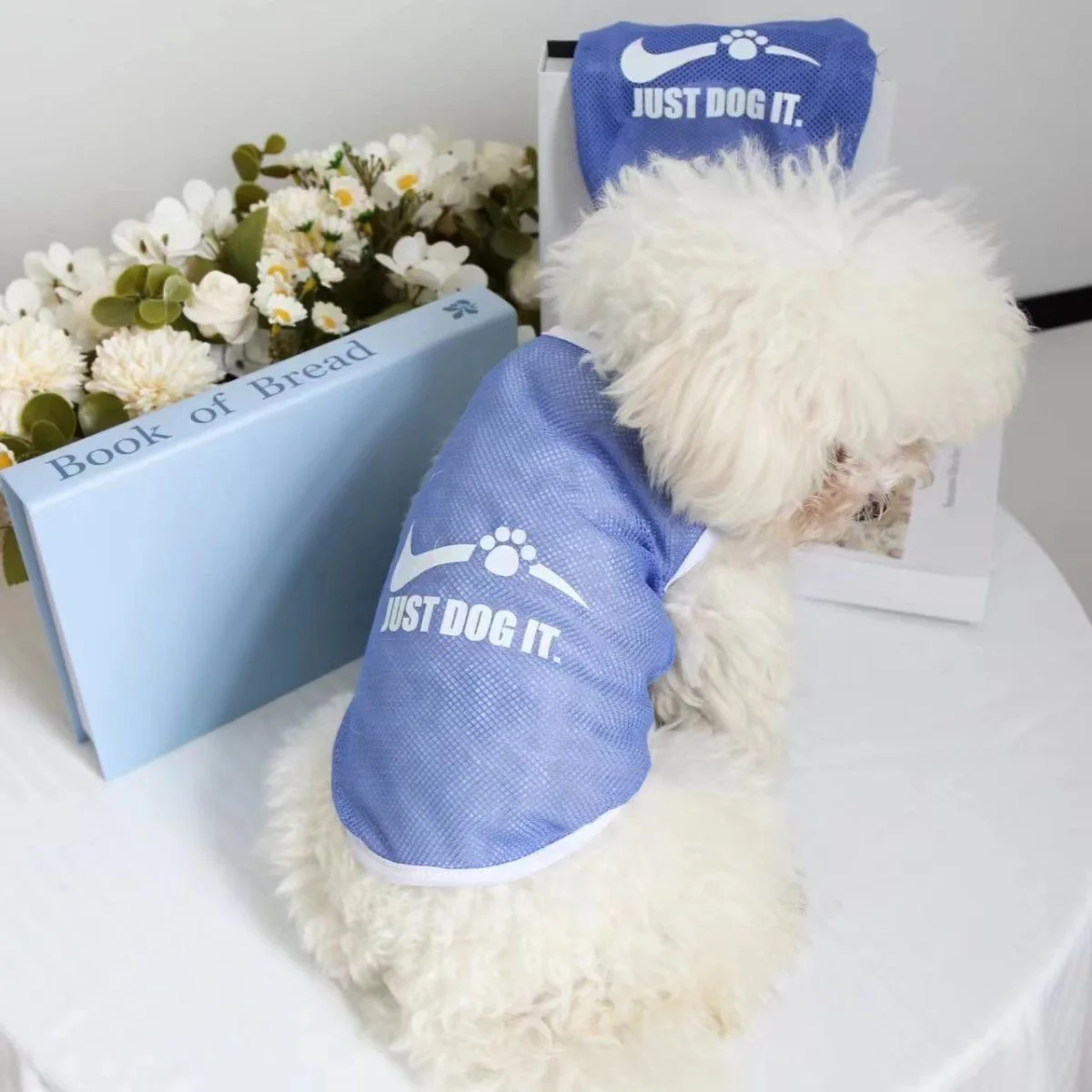 Chaleco Sumer para perros, chaleco refrescante de malla transpirable para perros, ropa deportiva bonita, ropa para cachorros, traje D, ropa para perros - imagen 2