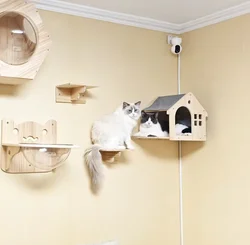 Cama madera maciza para gato pared – Refugio aéreo ahorro espacio