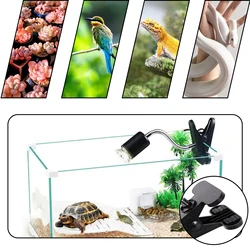 Portalámparas con clip para reptiles – Luz UVA y calor regulable