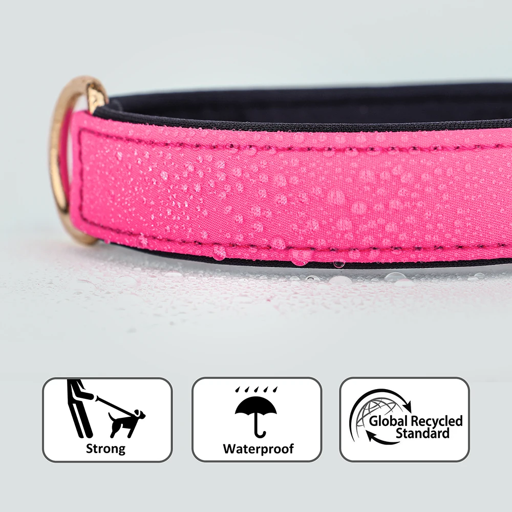 Collar de perro de 8 colores, collares de nailon impermeables para perros, Collar acolchado suave para mascotas para perros pequeños y medianos, Chihuahua Pug duradero - imagen 4