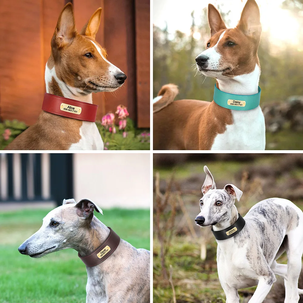 Collar de cuero con grabado personalizado para perros grandes y grandes, placa de identificación antipérdida con nombre personalizado - imagen 5