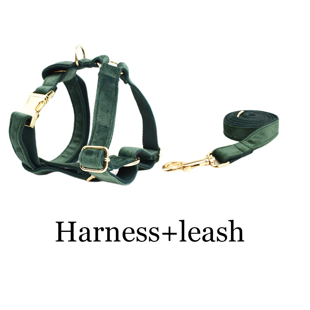 Harness leash