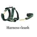 Harness leash