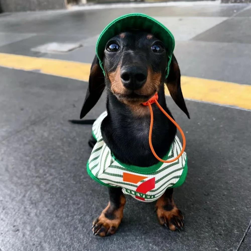 Ropa de moda para perros Dachshund con gorro – primavera/verano