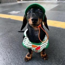 Ropa de moda para perros Dachshund con gorro – primavera/verano