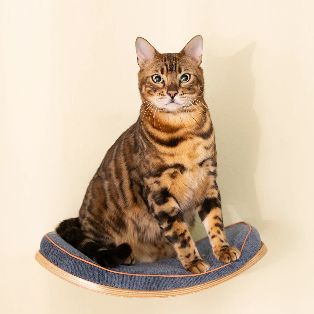 Repisa para gatos con cojines, plataforma para gatos de pared, escalones para gatos, repisa curvada para gatos, cama para gatos montada en la pared para dormir, jugar y escalar - imagen 4