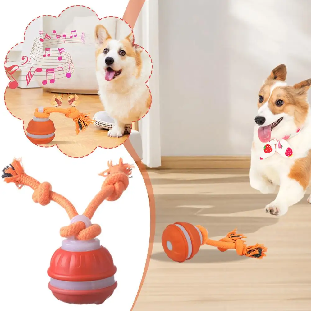 Pelota interactiva para perros con cuerda y movimiento en interiores