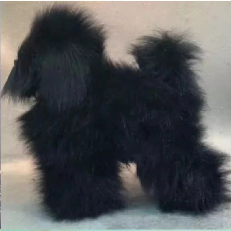 Maniquí entrenamiento peluquería canina con pelo Teddy Poodle - imagen 3